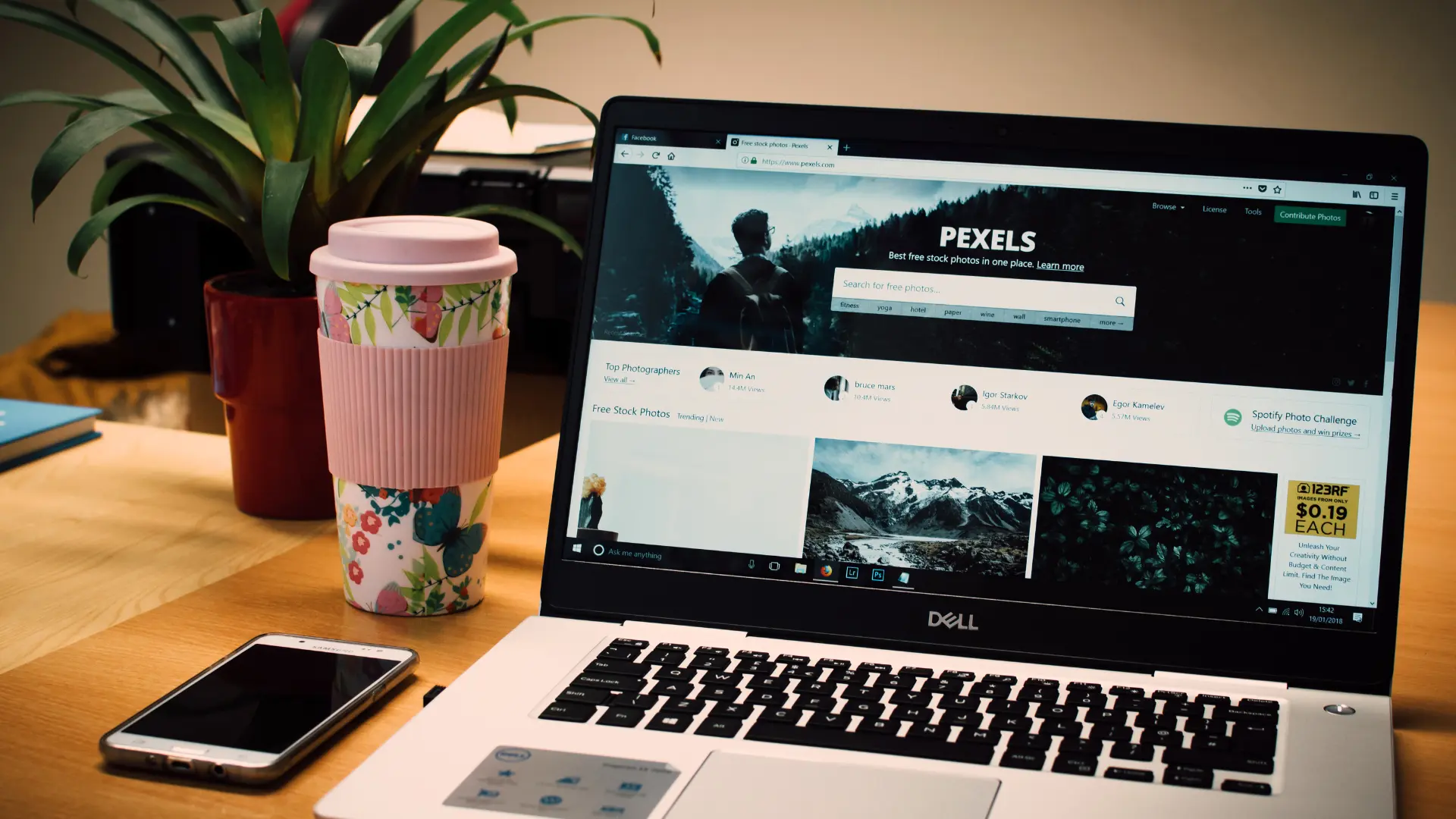 web developer and website designer
